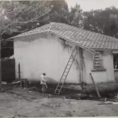 As castanheiras da Escola dos Francos